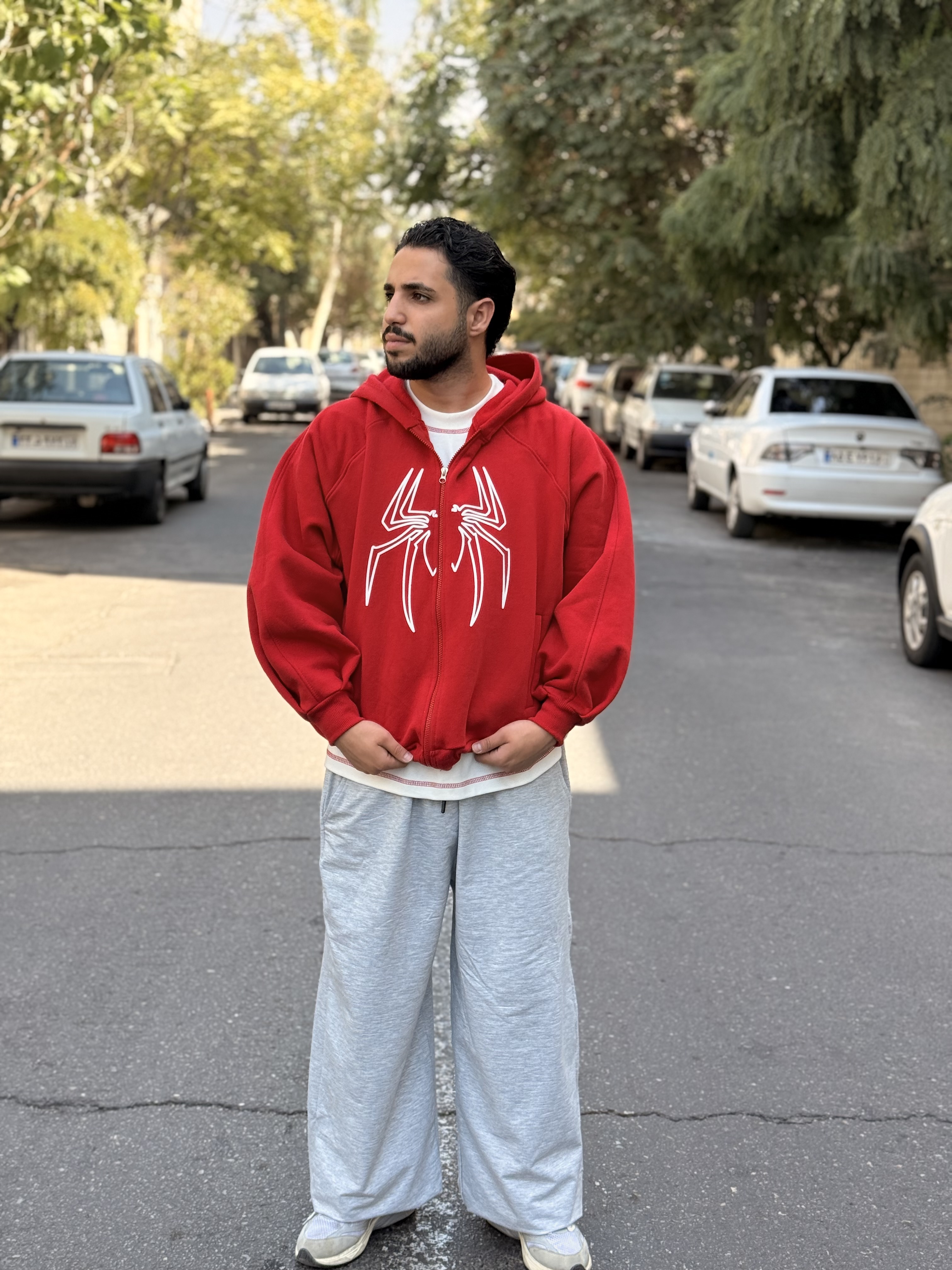 سویشرت چاپی اسپایدر